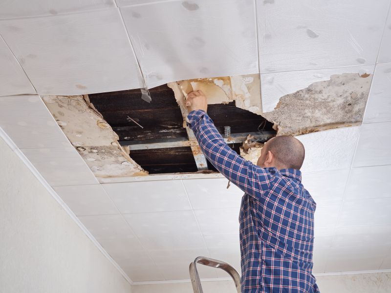 Ceiling Repair Service in Alpharetta, GA